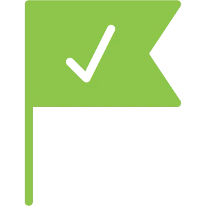 checked flag